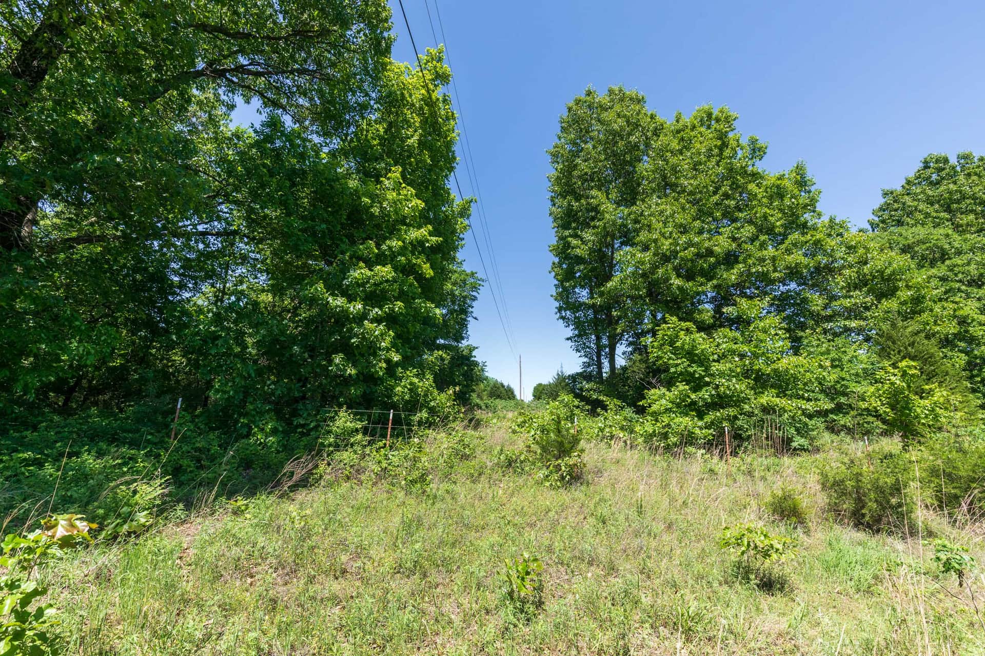 Starfield Acres Tract 2 photo 1