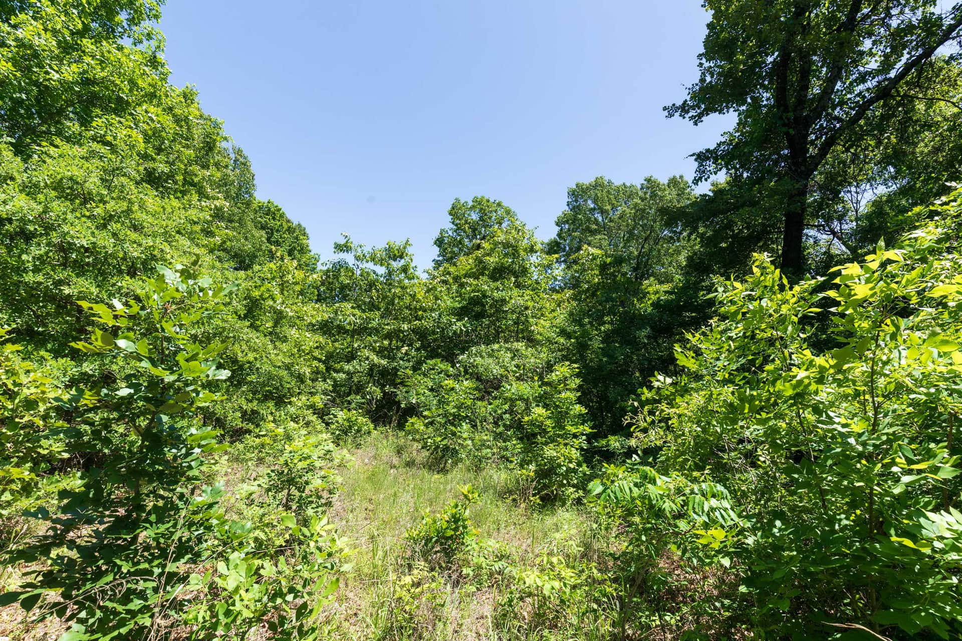 Starfield Acres Tract 3 photo 1