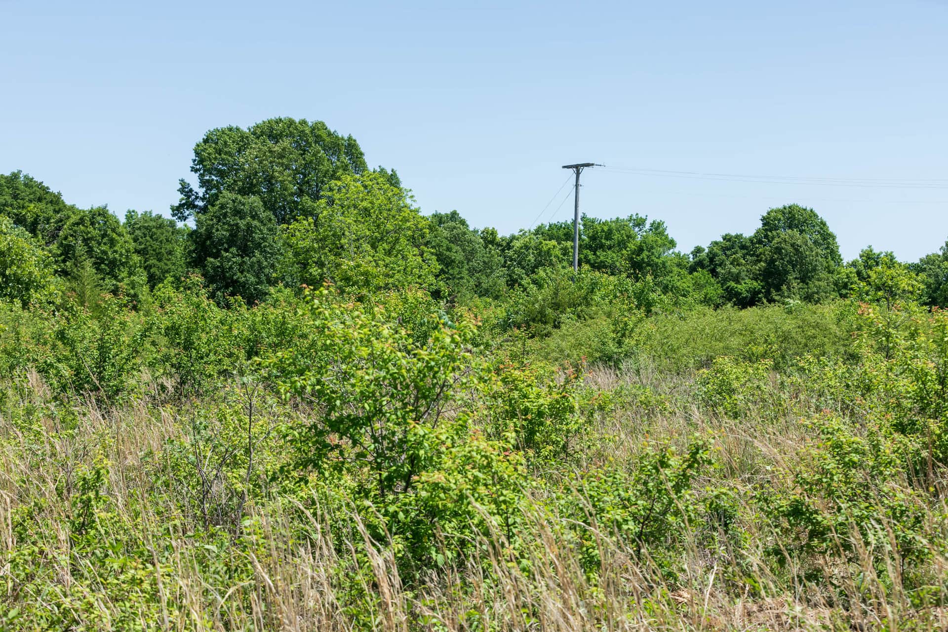 Starfield Acres Tract 6 photo 1