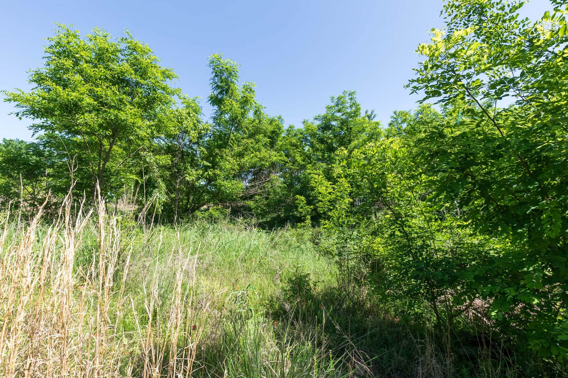 Starfield Acres Tract 8 photo 1