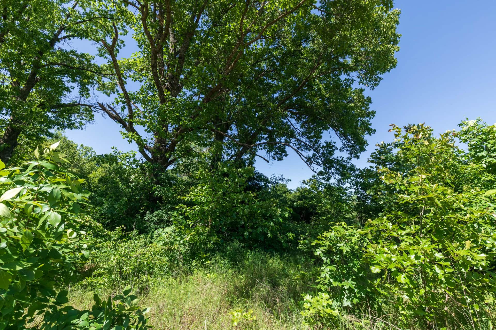 Starfield Acres Tract 9 photo 1