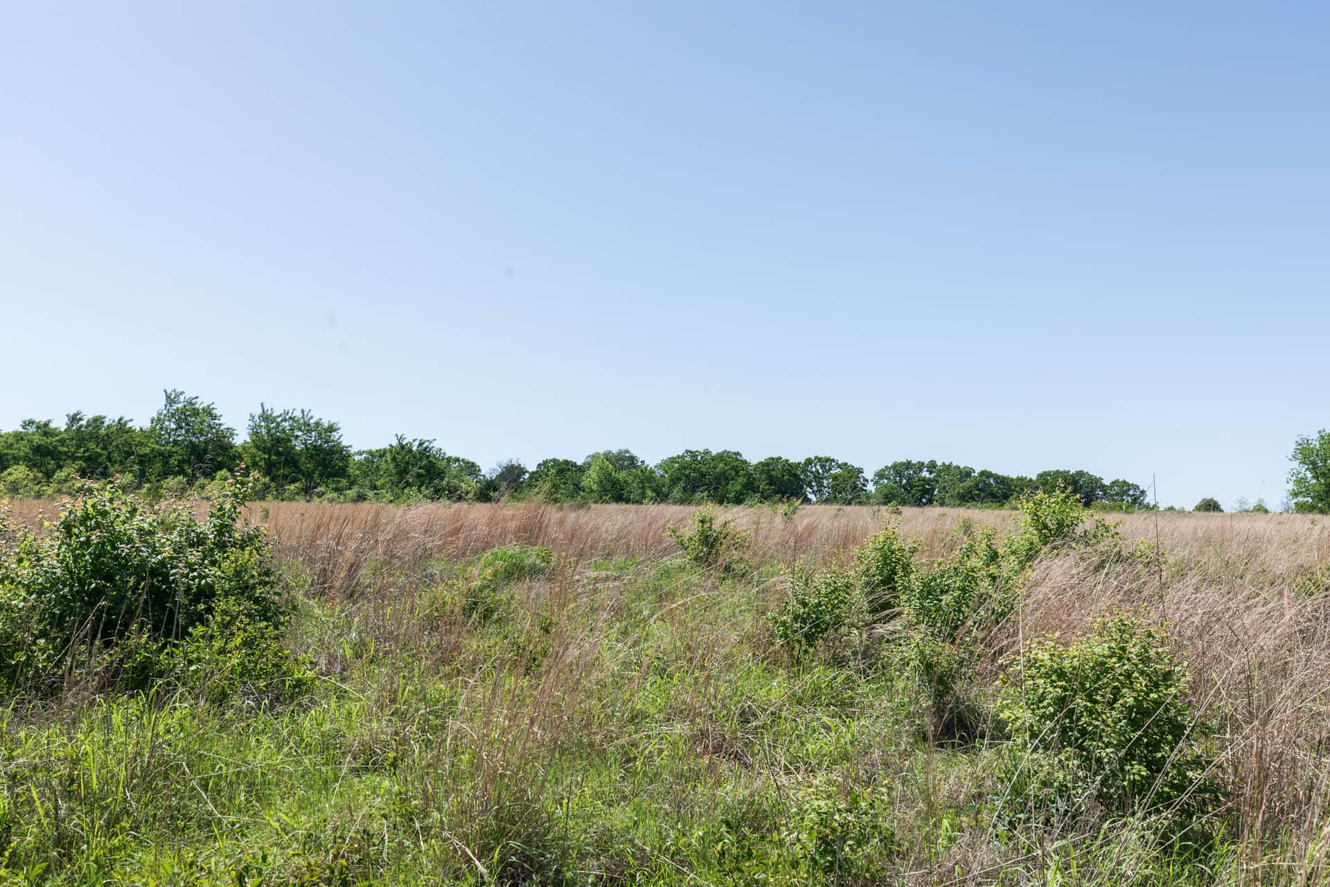Starfield Acres Tract 1 photo 1
