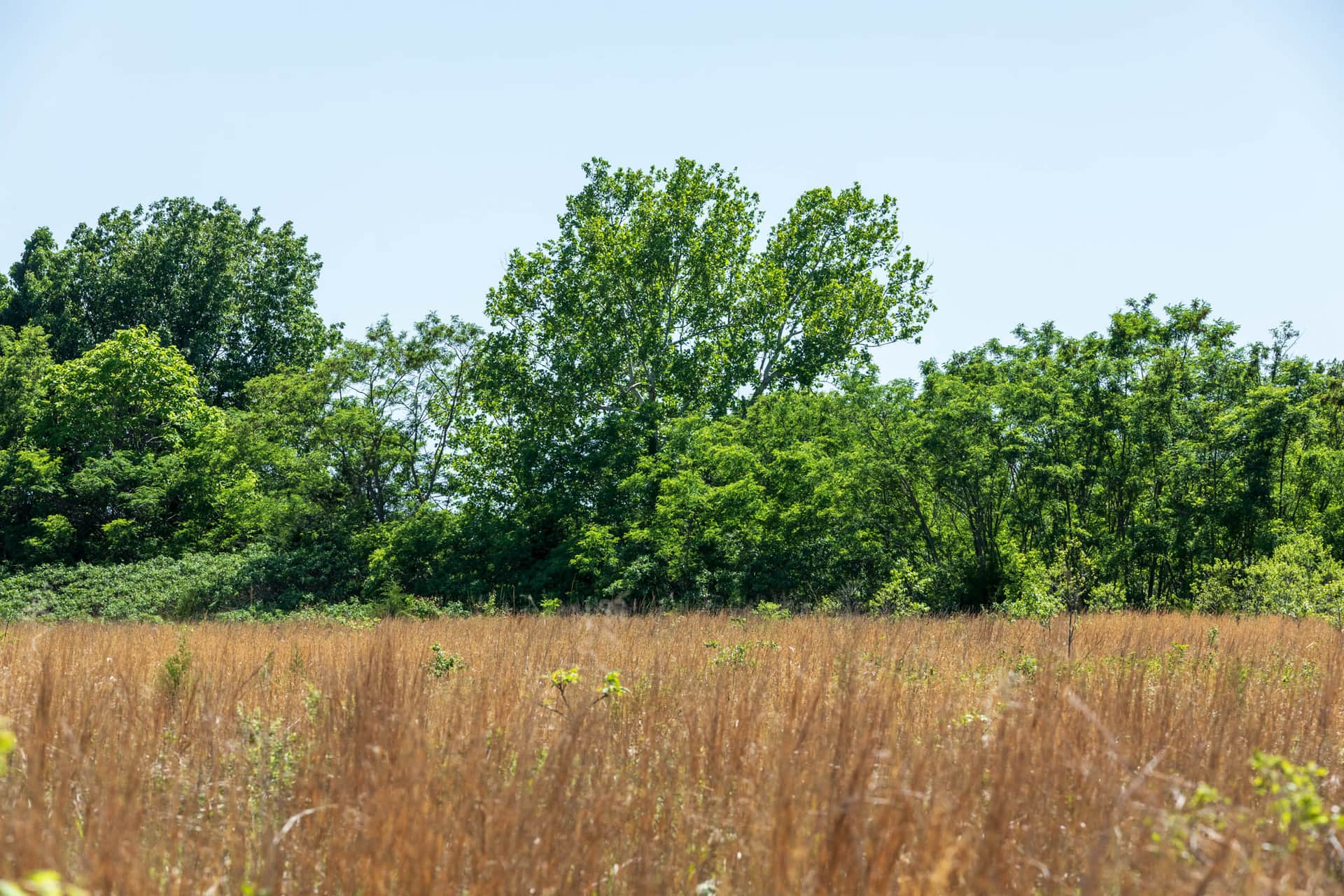 Starfield Acres Tract 10 photo 1