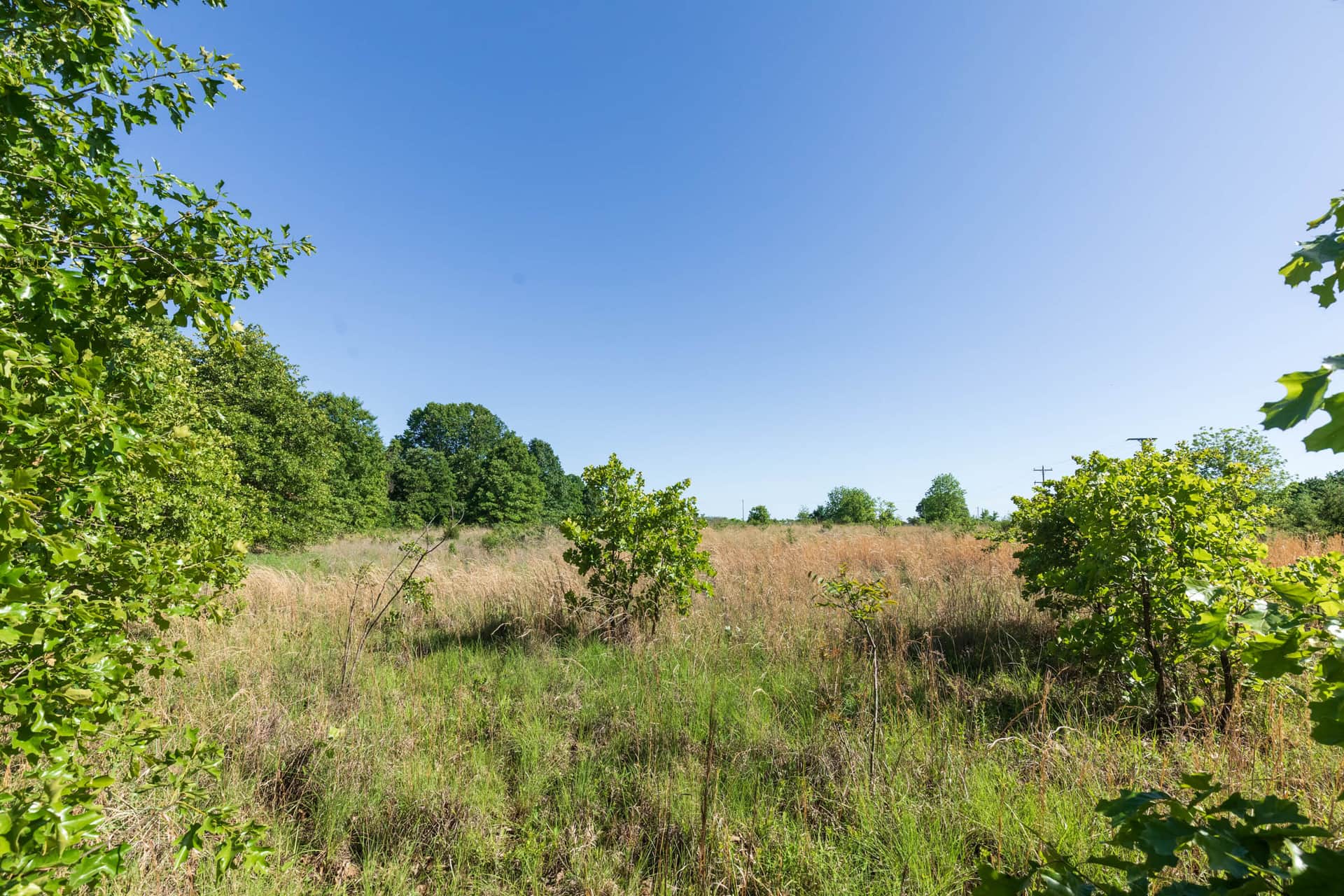 Starfield Acres Tract 4 photo 1