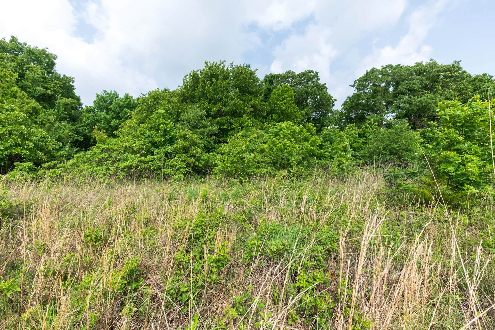 Starfield Acres Tract 5 photo 1