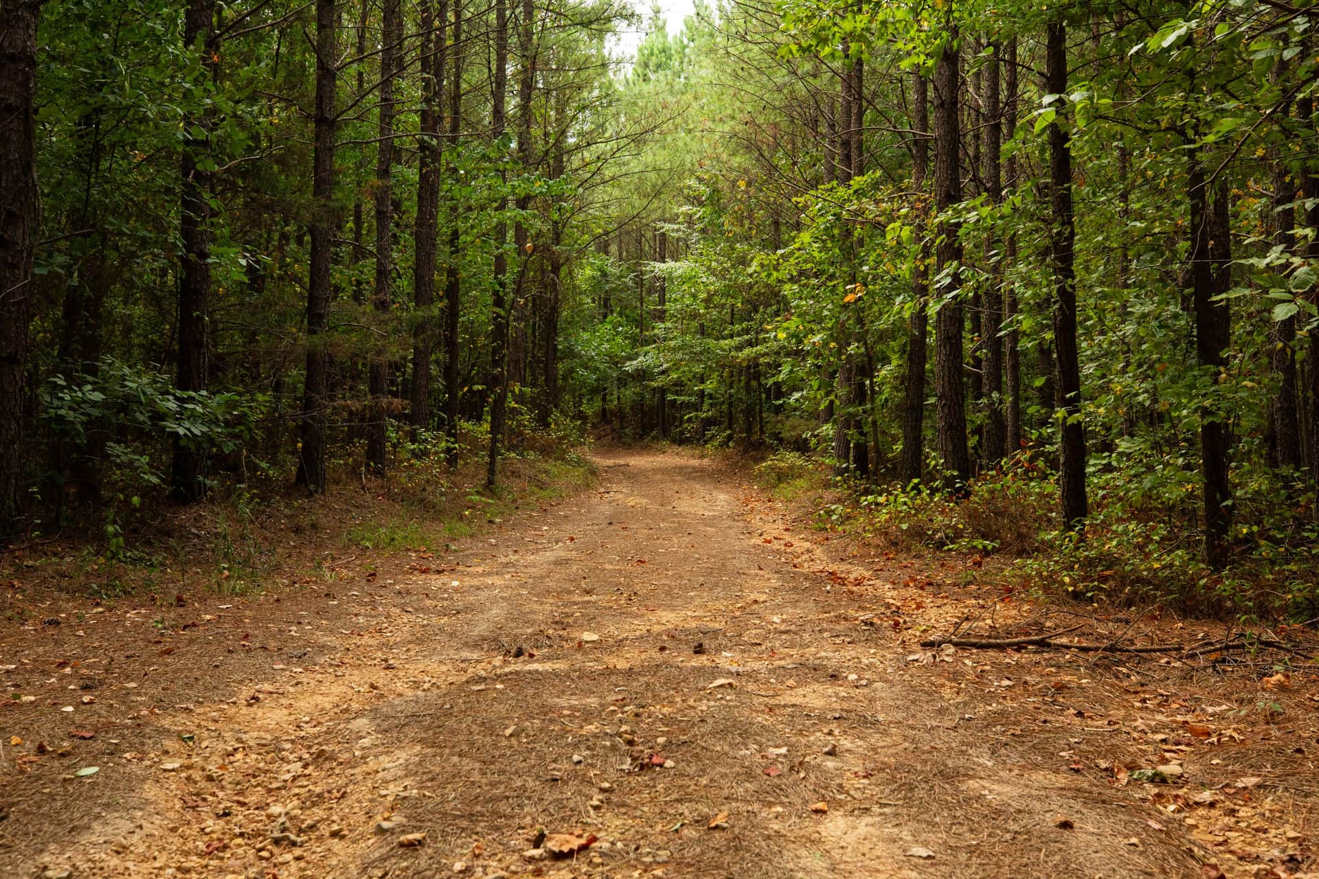 Harvest Ridge in Perry County, Tennessee (photo 1 of 14)