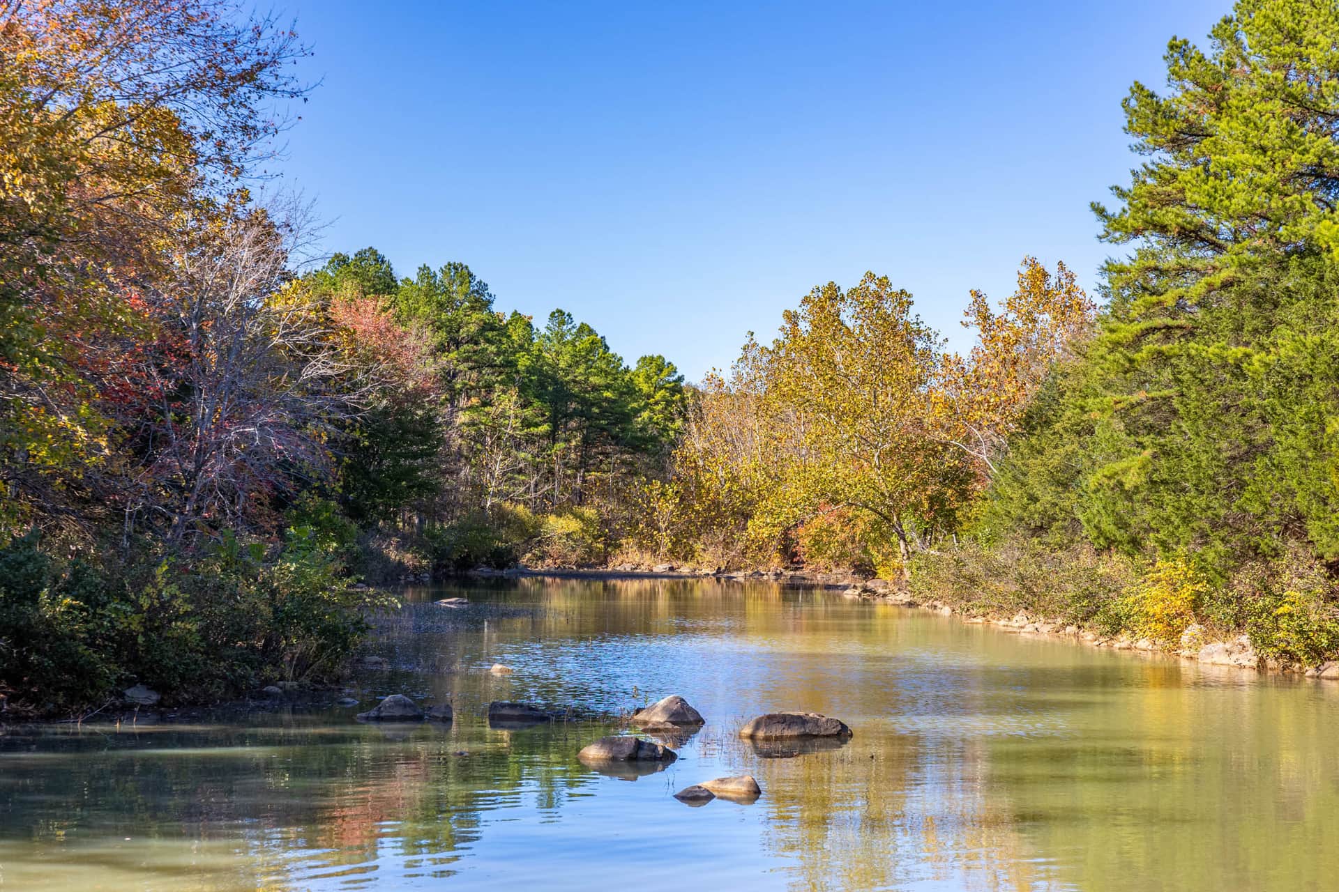 Stone Bridge Reserve photo 1