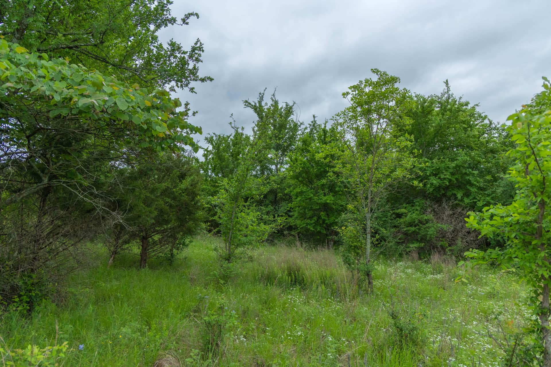 Harmony Hills Tract 2 photo 1