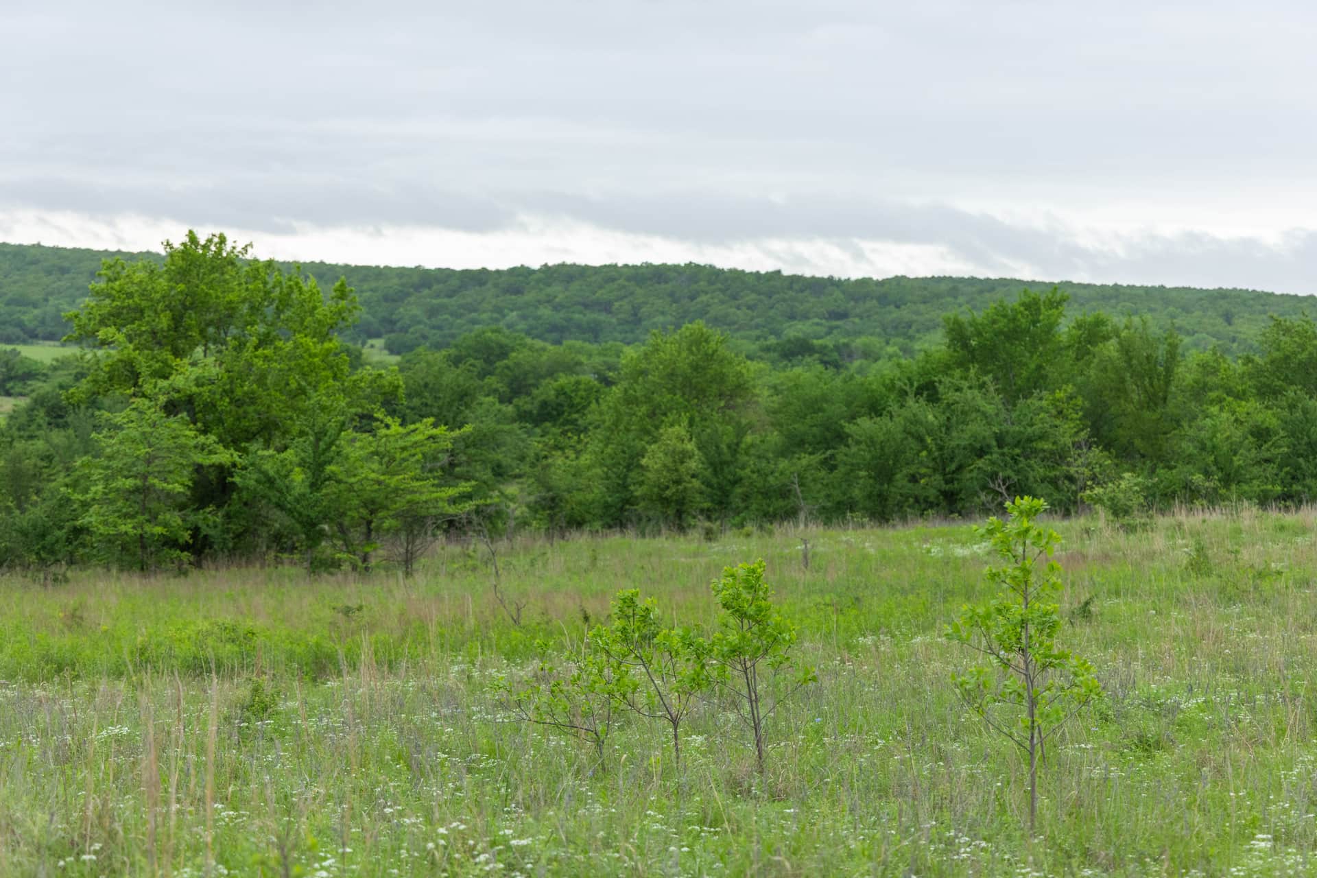 Harmony Hills Tract 3 photo 1