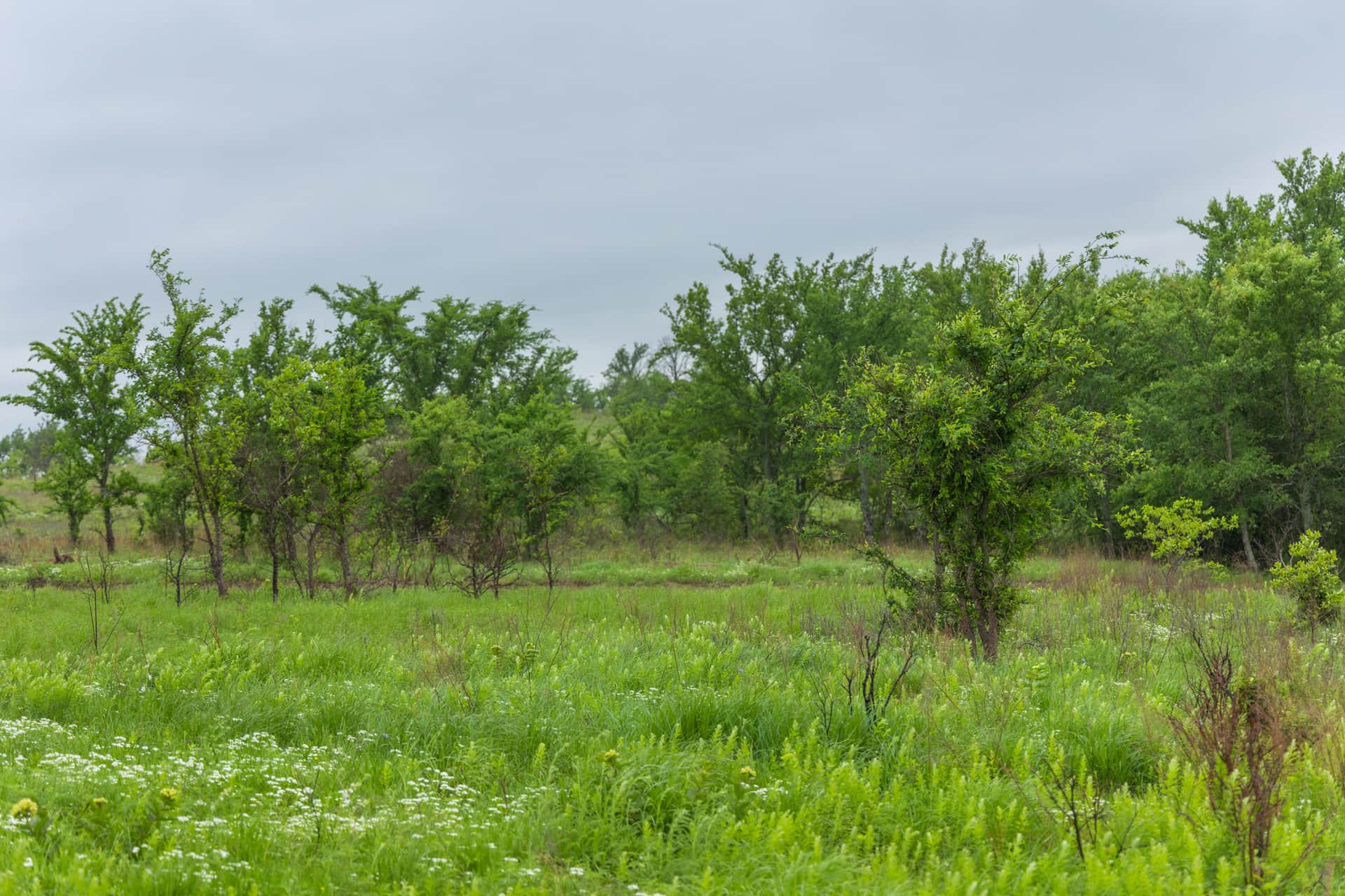 Harmony Hills Tract 4 photo 1