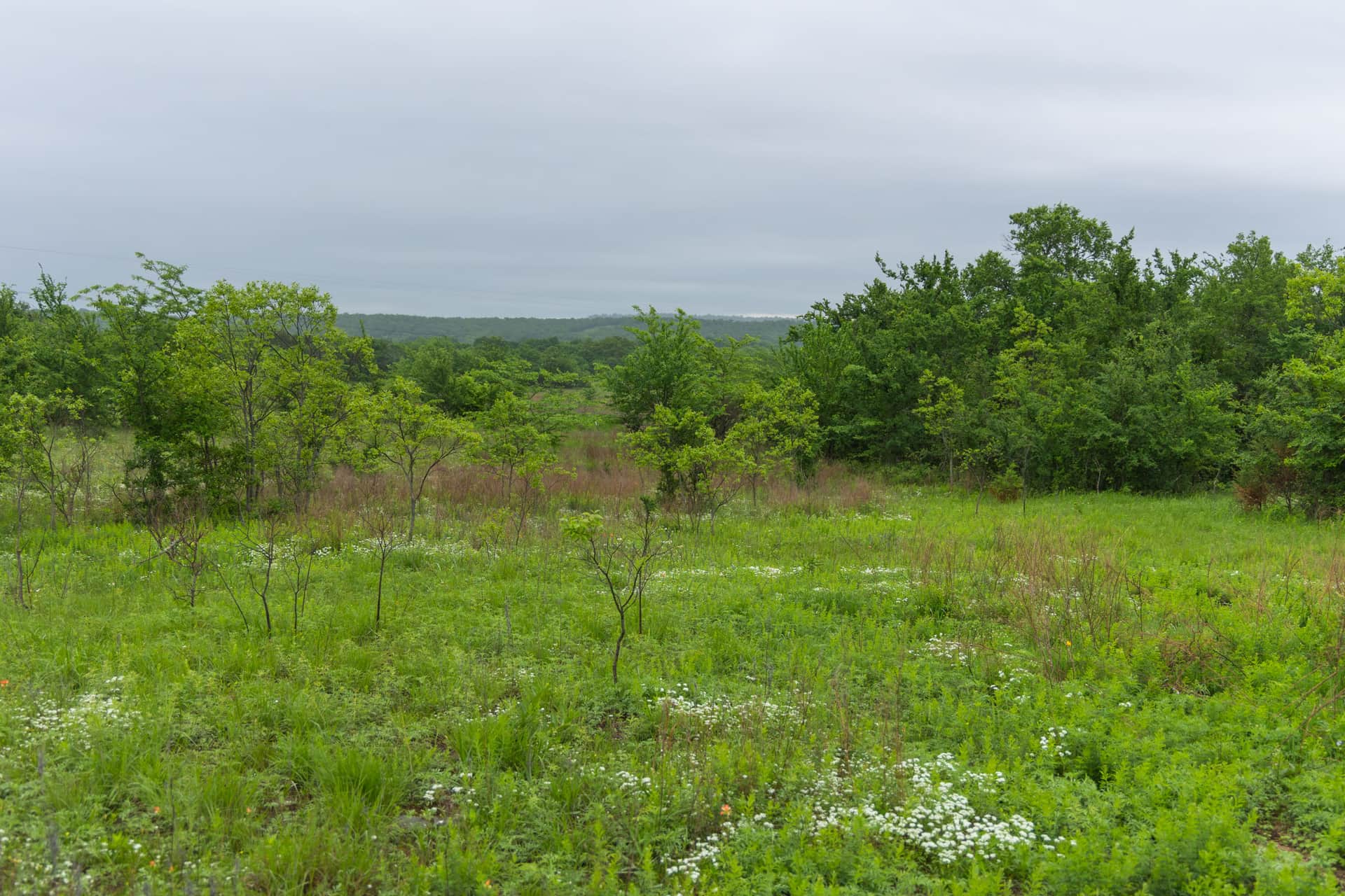 Harmony Hills Tract 6 photo 1