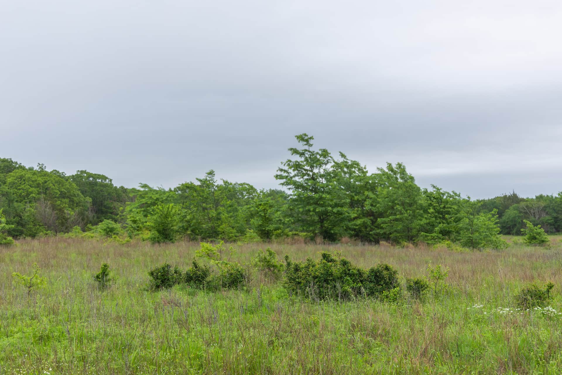 Harmony Hills Tract 7 photo 1