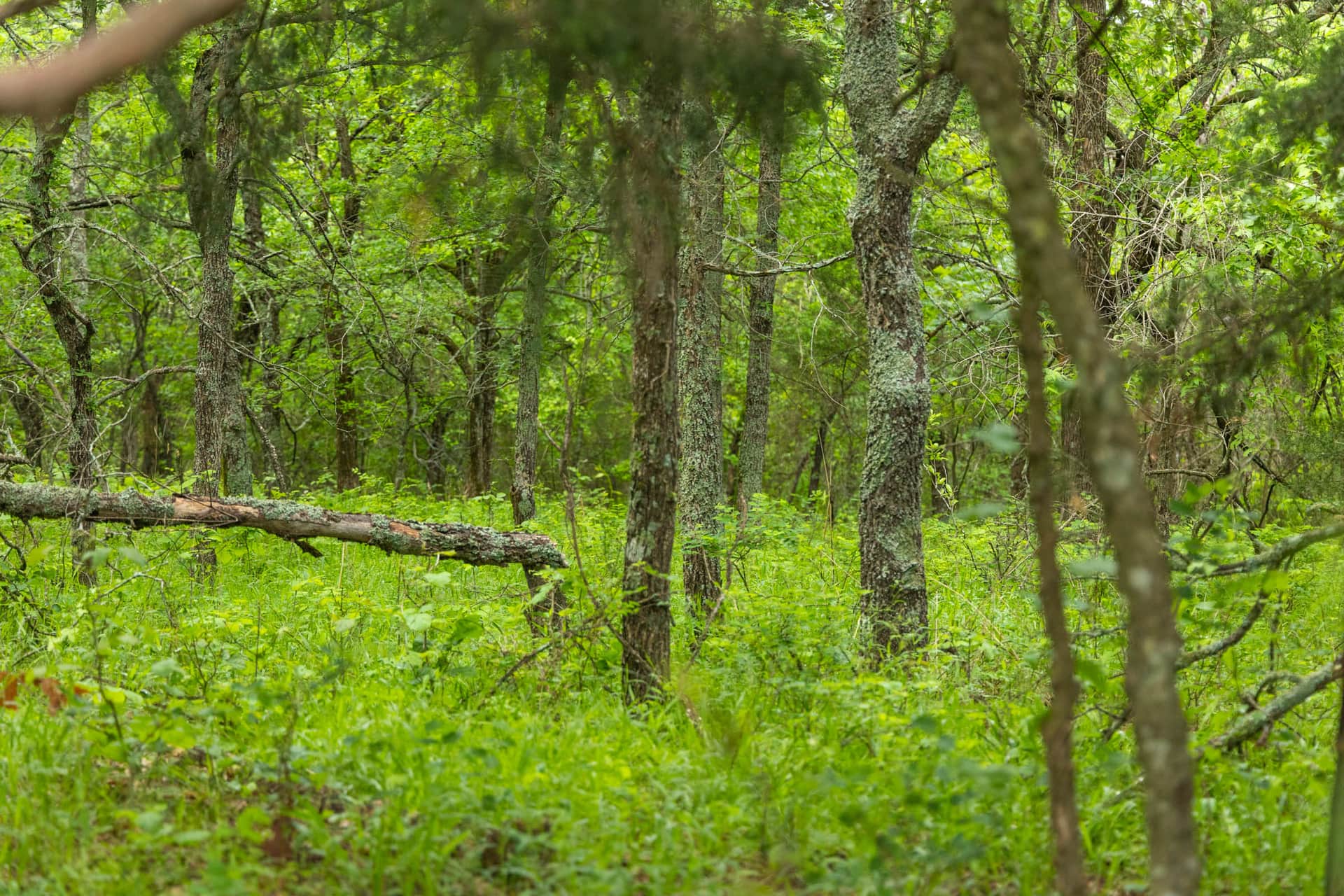 Harmony Hills Tract 8 photo 1
