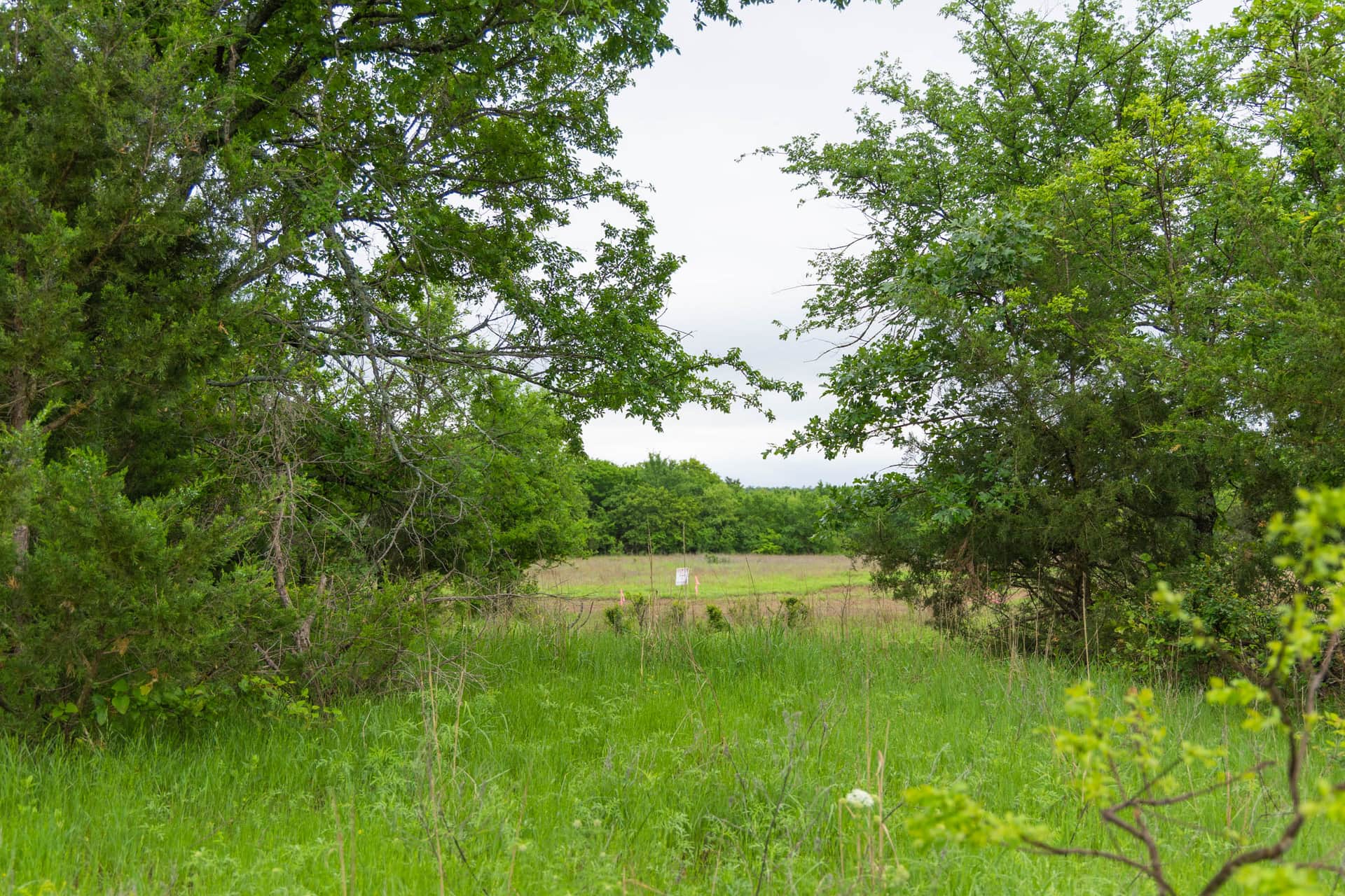 Harmony Hills Tract 9 photo 1