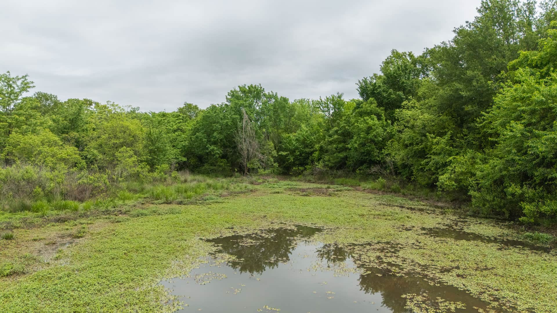 Harmony Hills Tract 12 photo 1