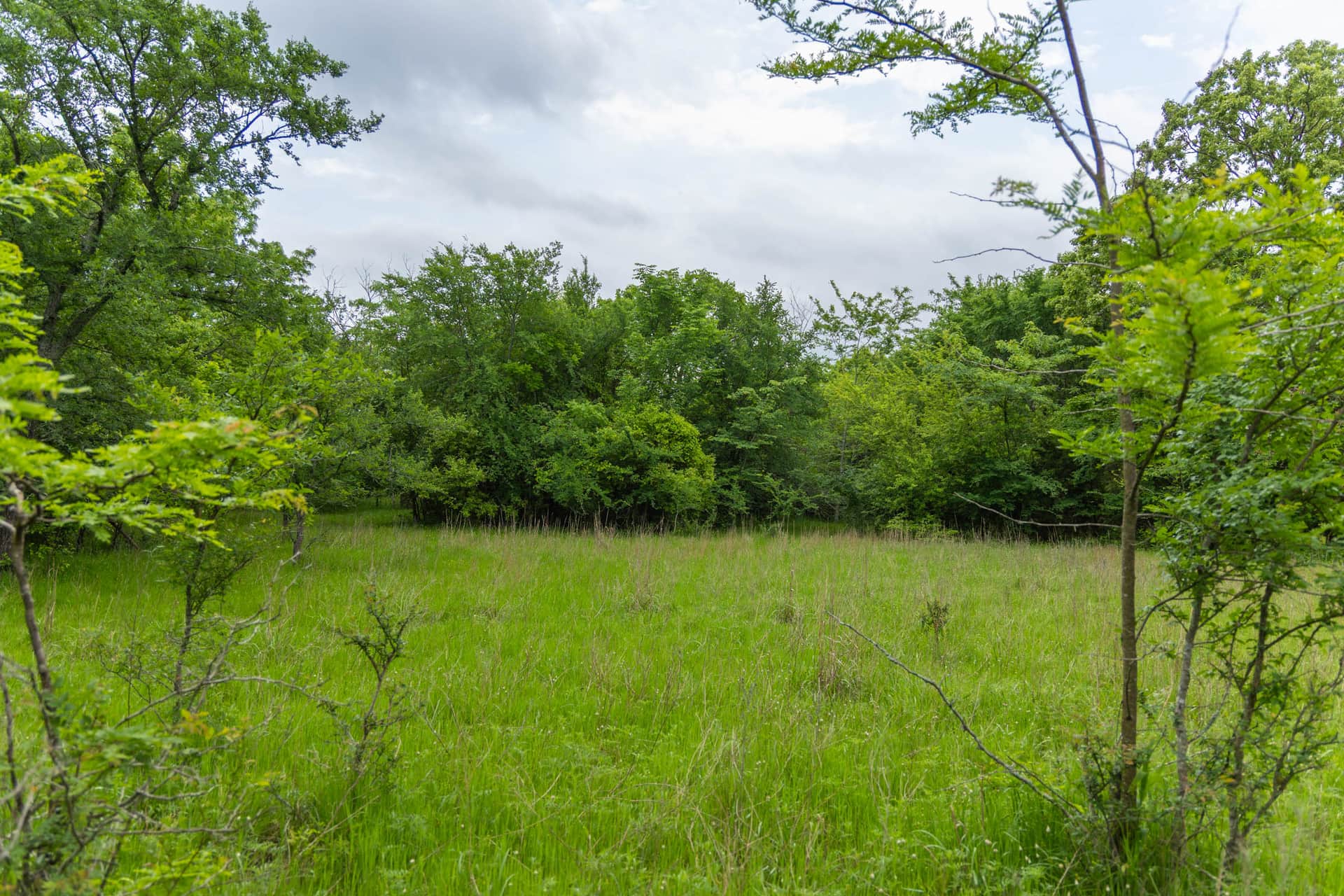 Harmony Hills Tract 10 photo 1
