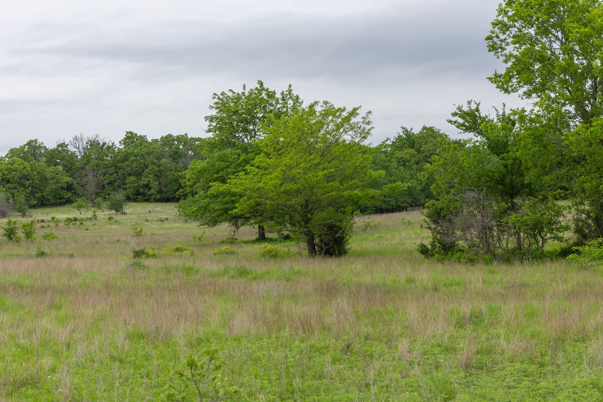 Harmony Hills Tract 11 photo 1