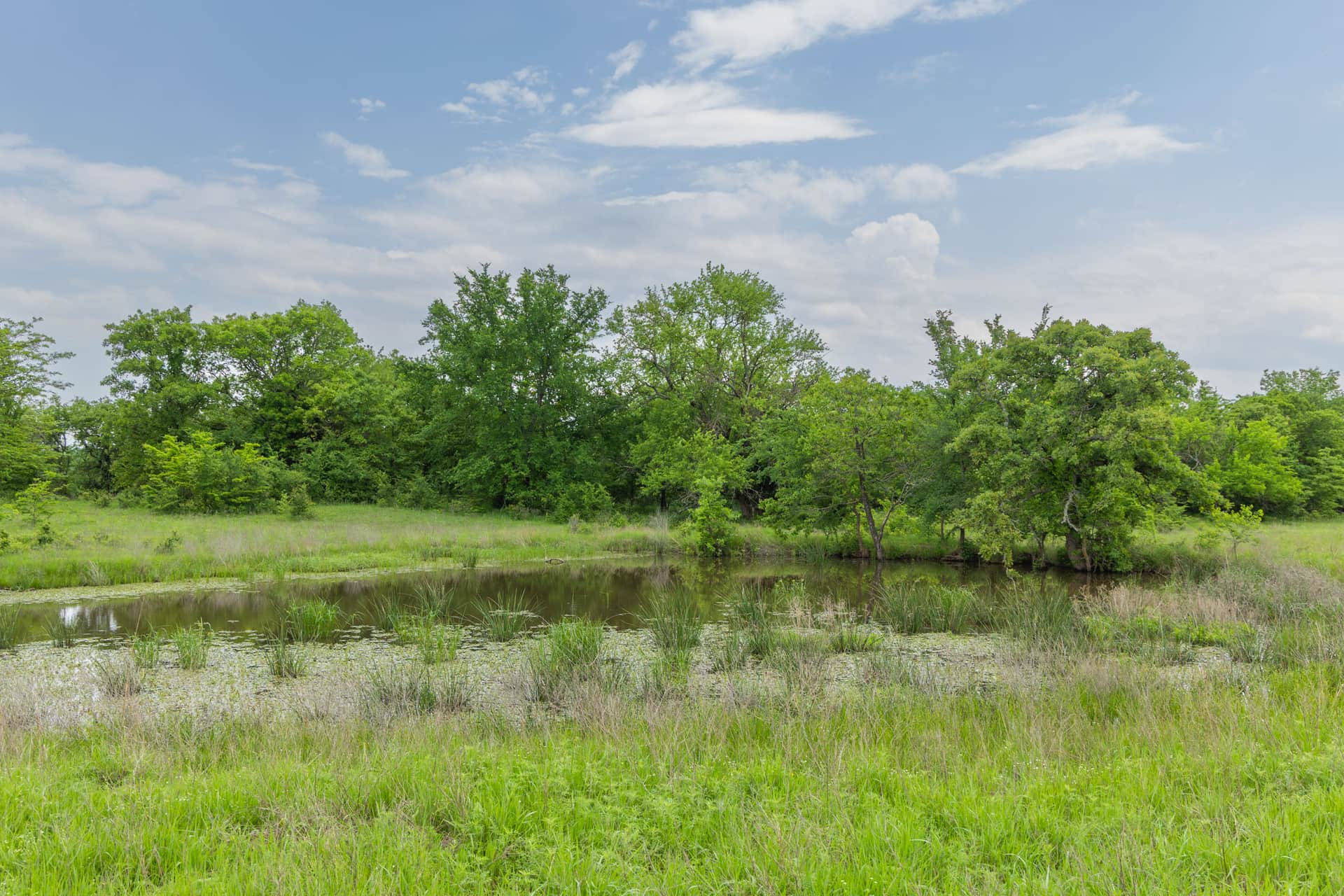 Harmony Hills Tract 15 photo 1