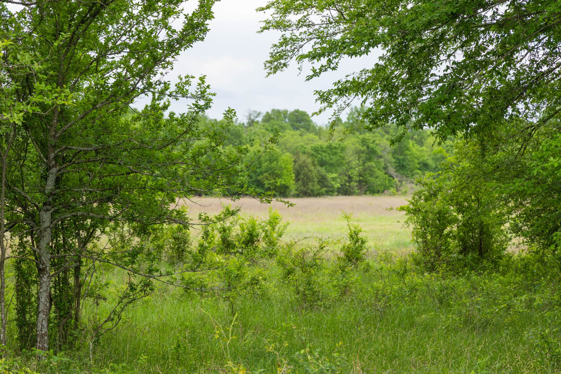 Harmony Hills Tract 28 photo 1