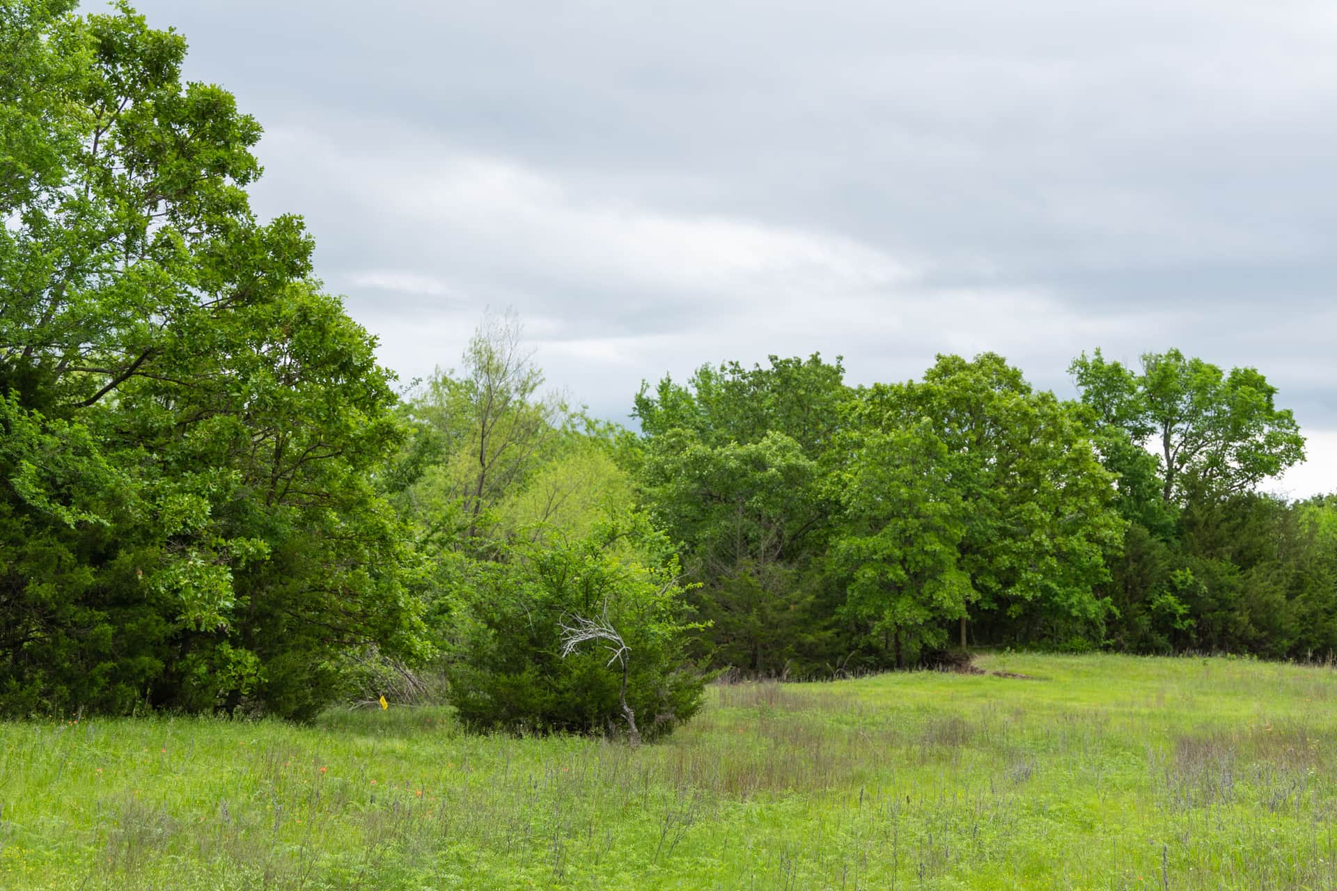 Harmony Hills Tract 14 photo 1