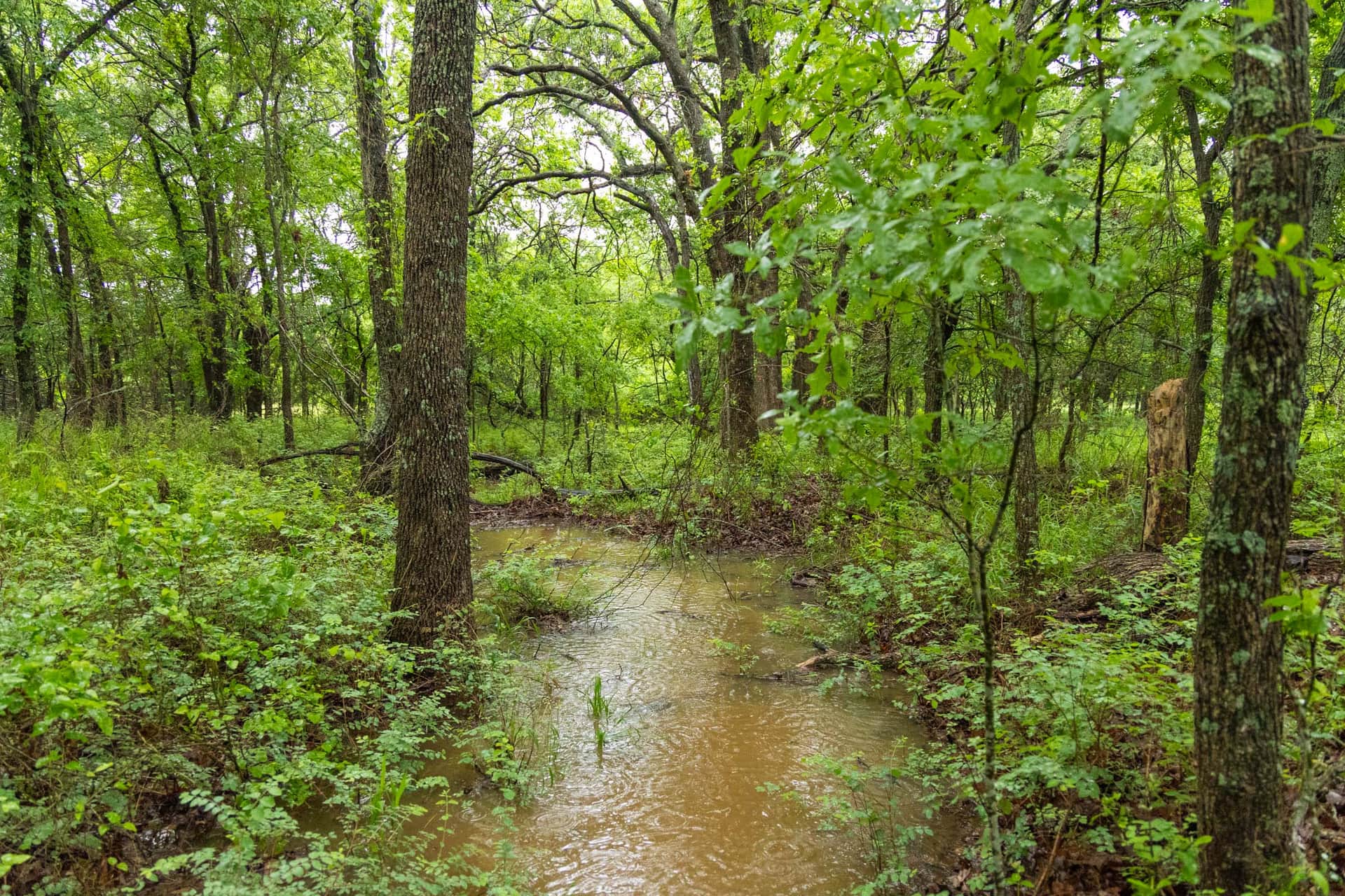 Harmony Hills Tract 16 photo 1