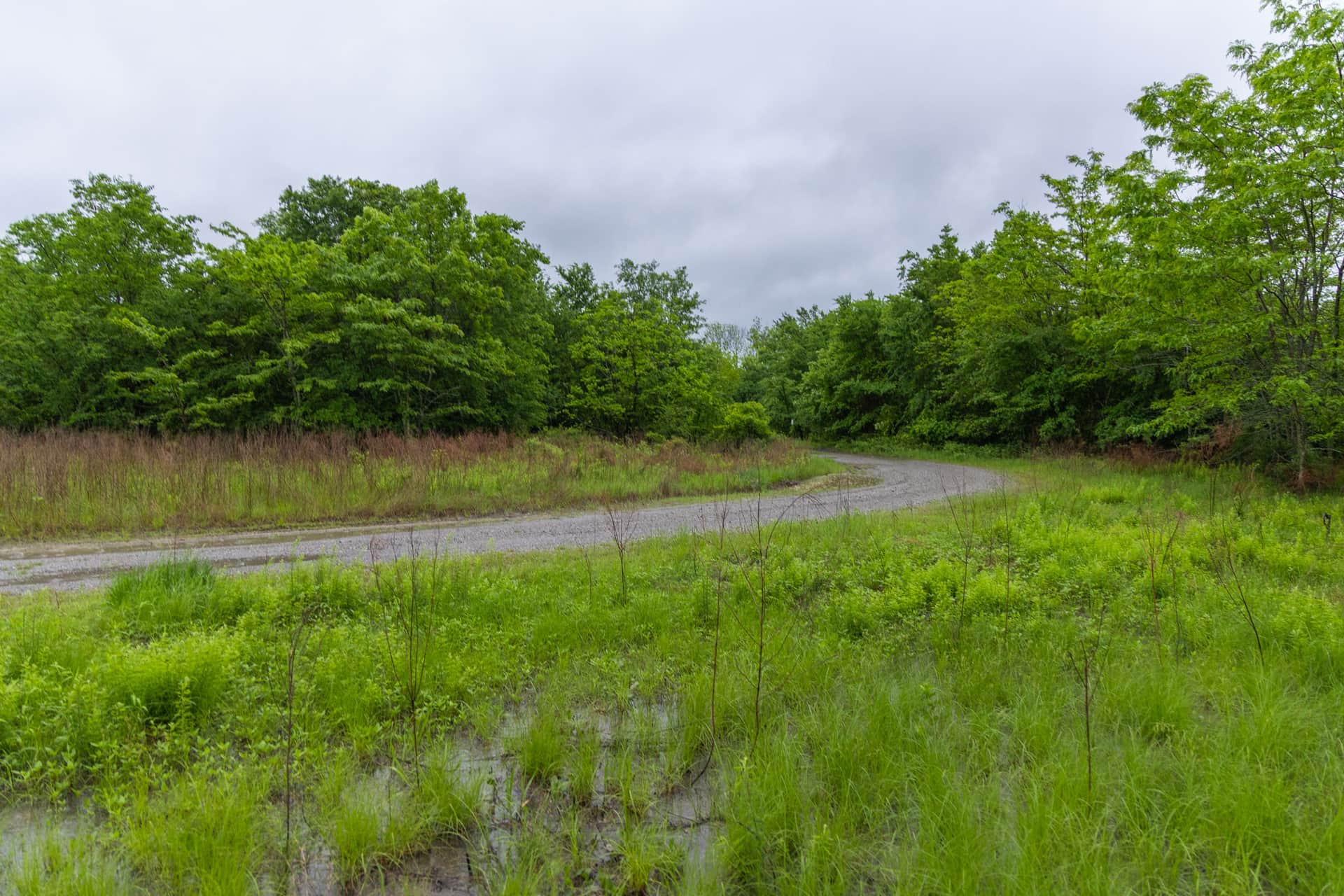 Harmony Hills Tract 19 photo 1