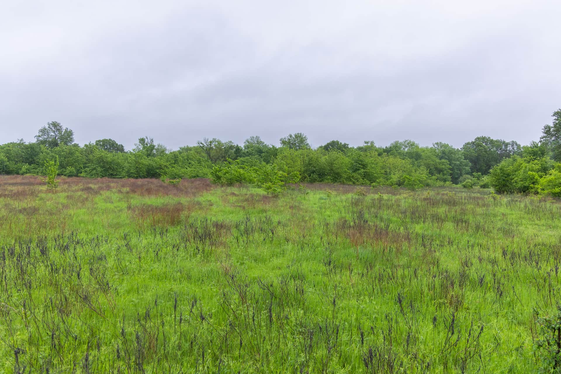Harmony Hills Tract 21 photo 1