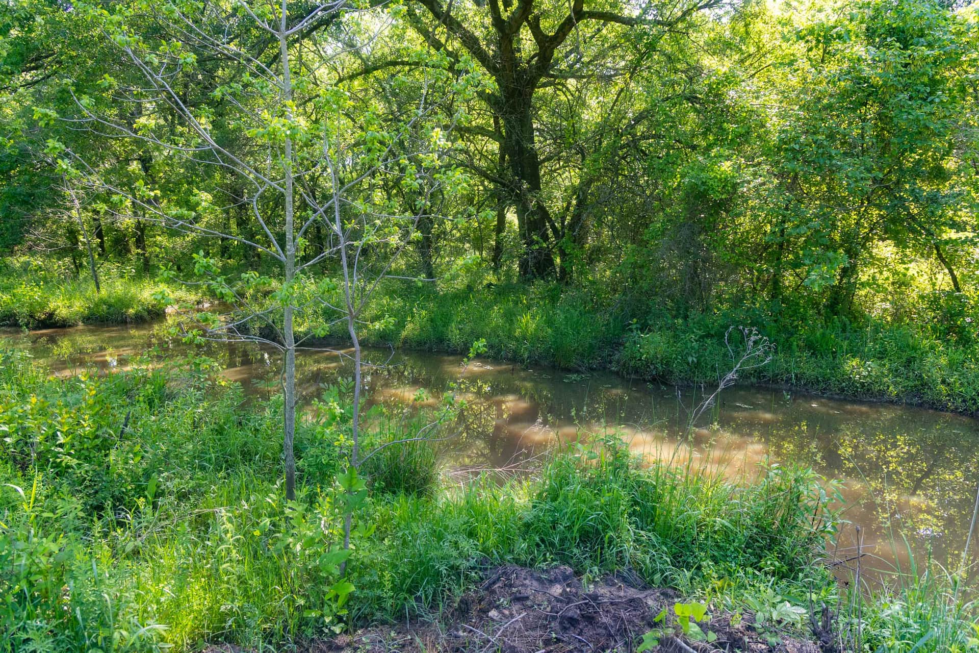 Harmony Hills Tract 23 photo 1