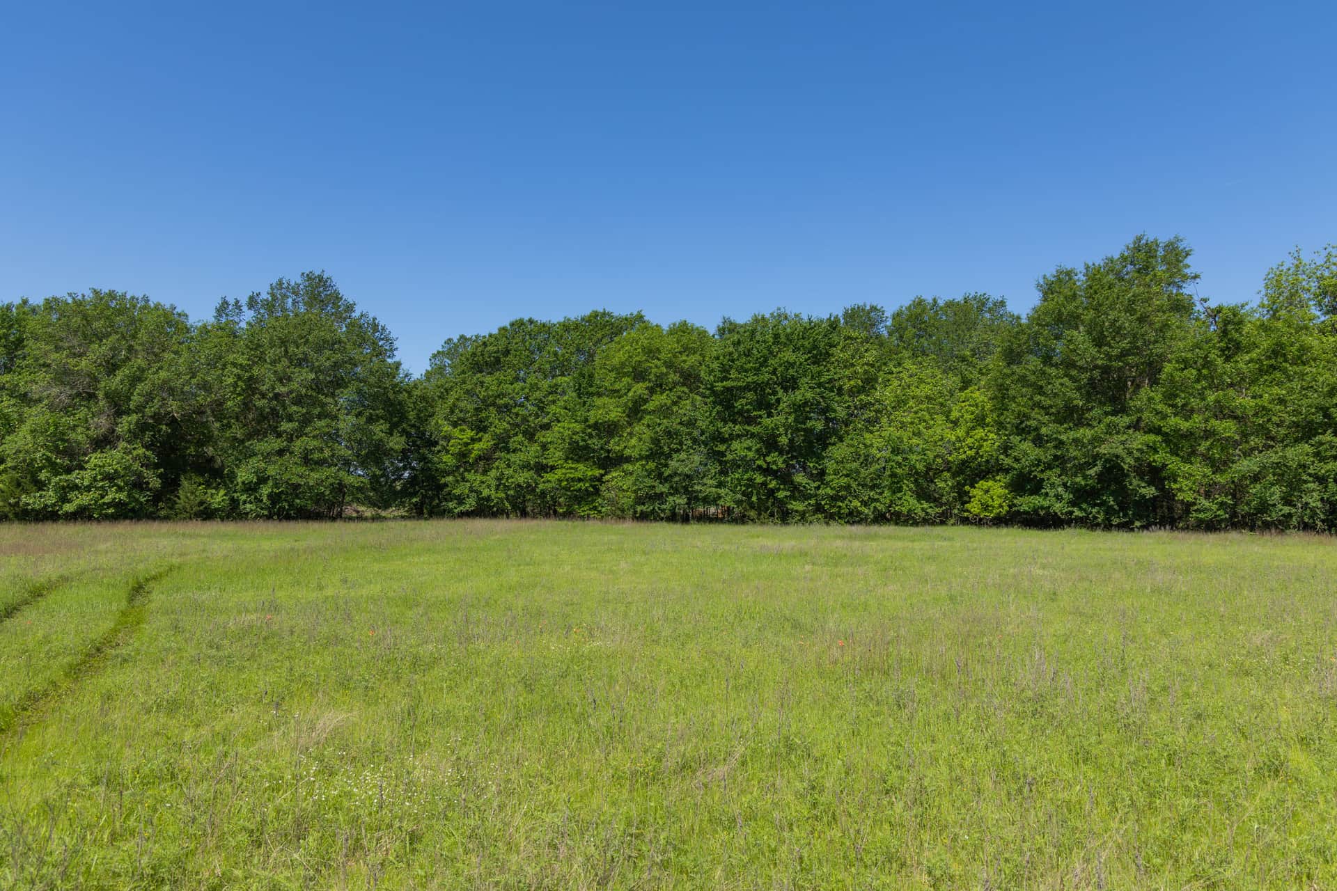 Harmony Hills Tract 30 photo 1