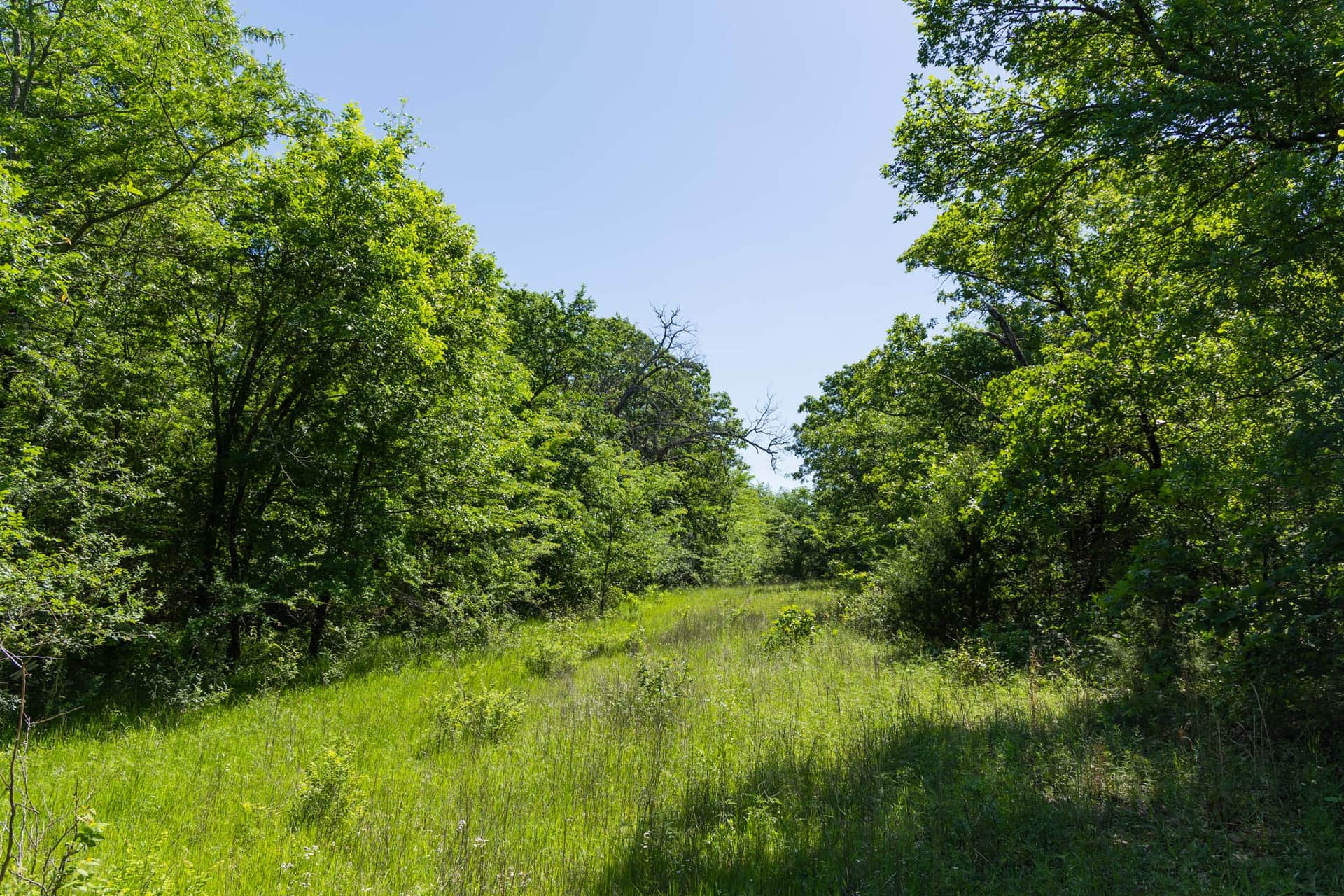 Harmony Hills Tract 34 photo 1