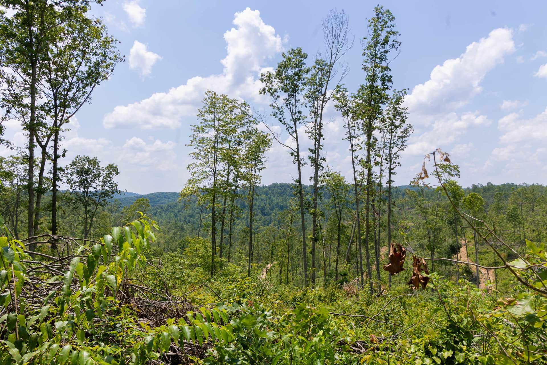 Creek Hollow Phase II photo 1
