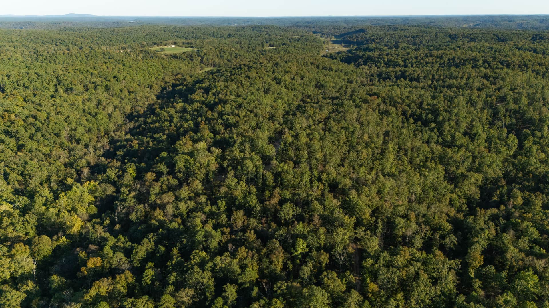 Fox Hollow photo 1