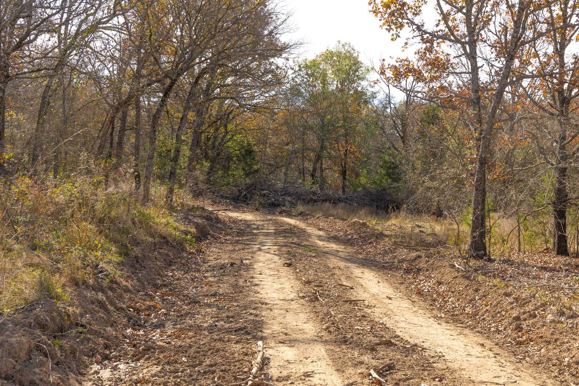 Harmony Hills Tract 48 photo 1