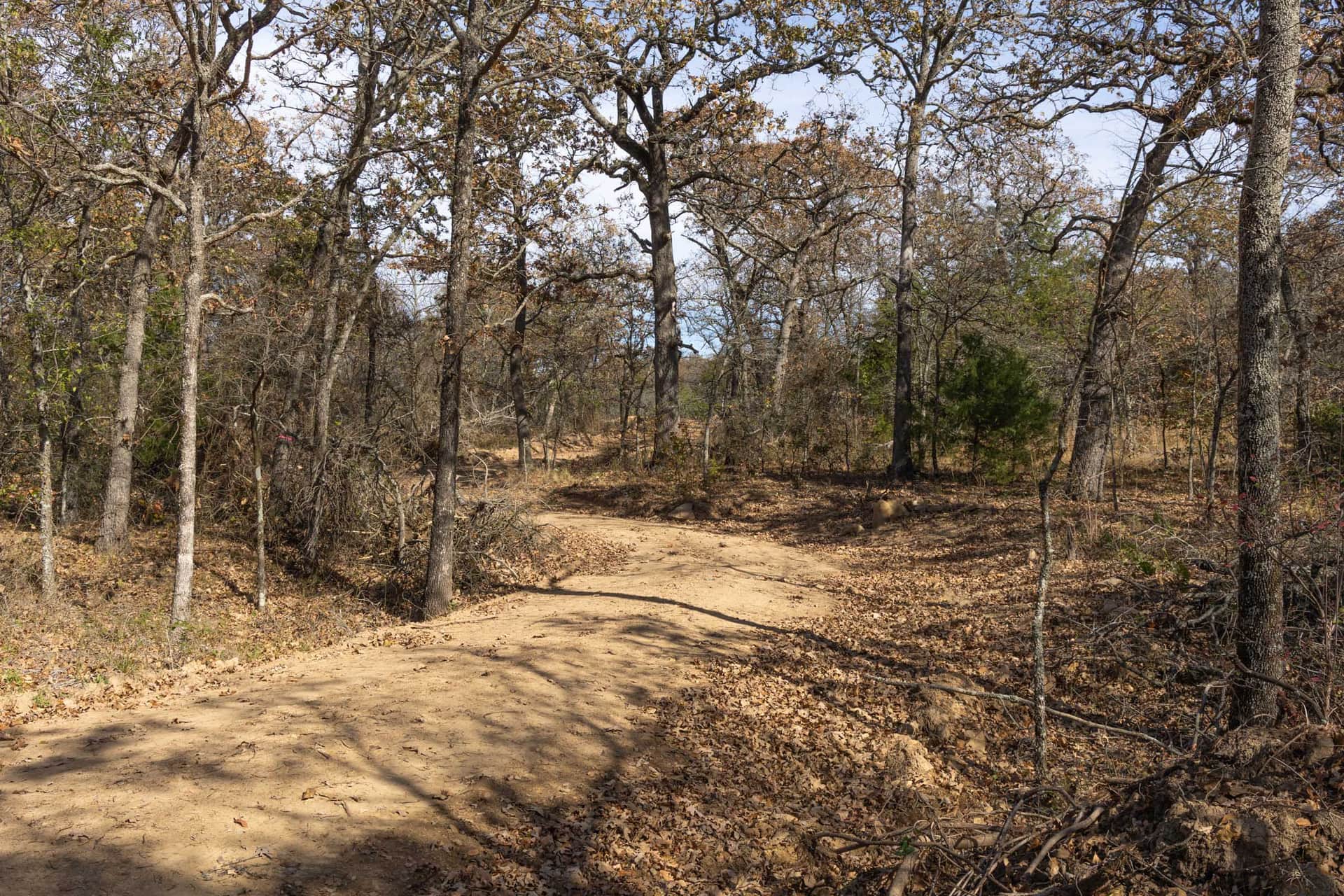 Harmony Hills Tract 41 photo 1