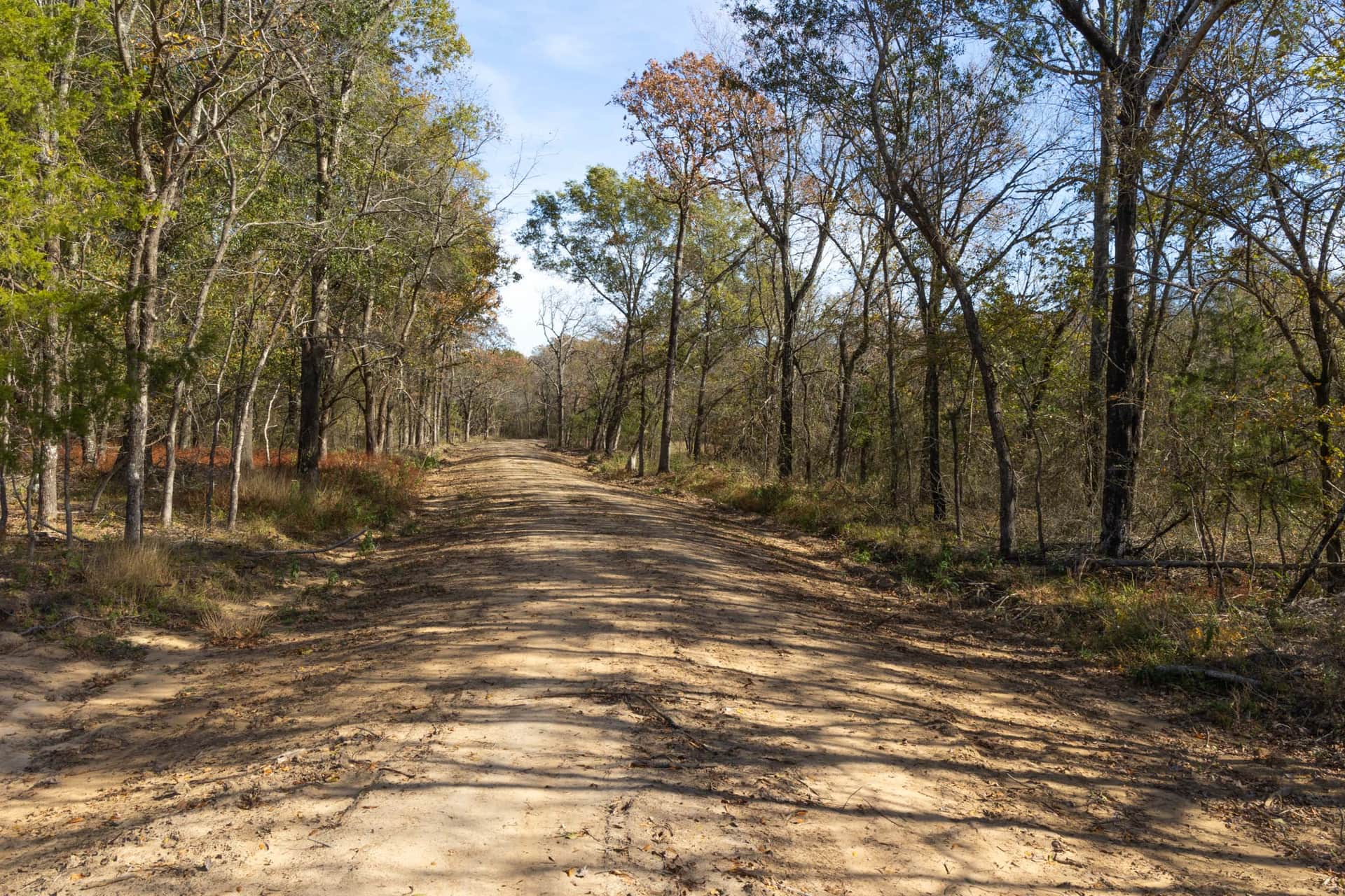 Harmony Hills Tract 39 photo 1