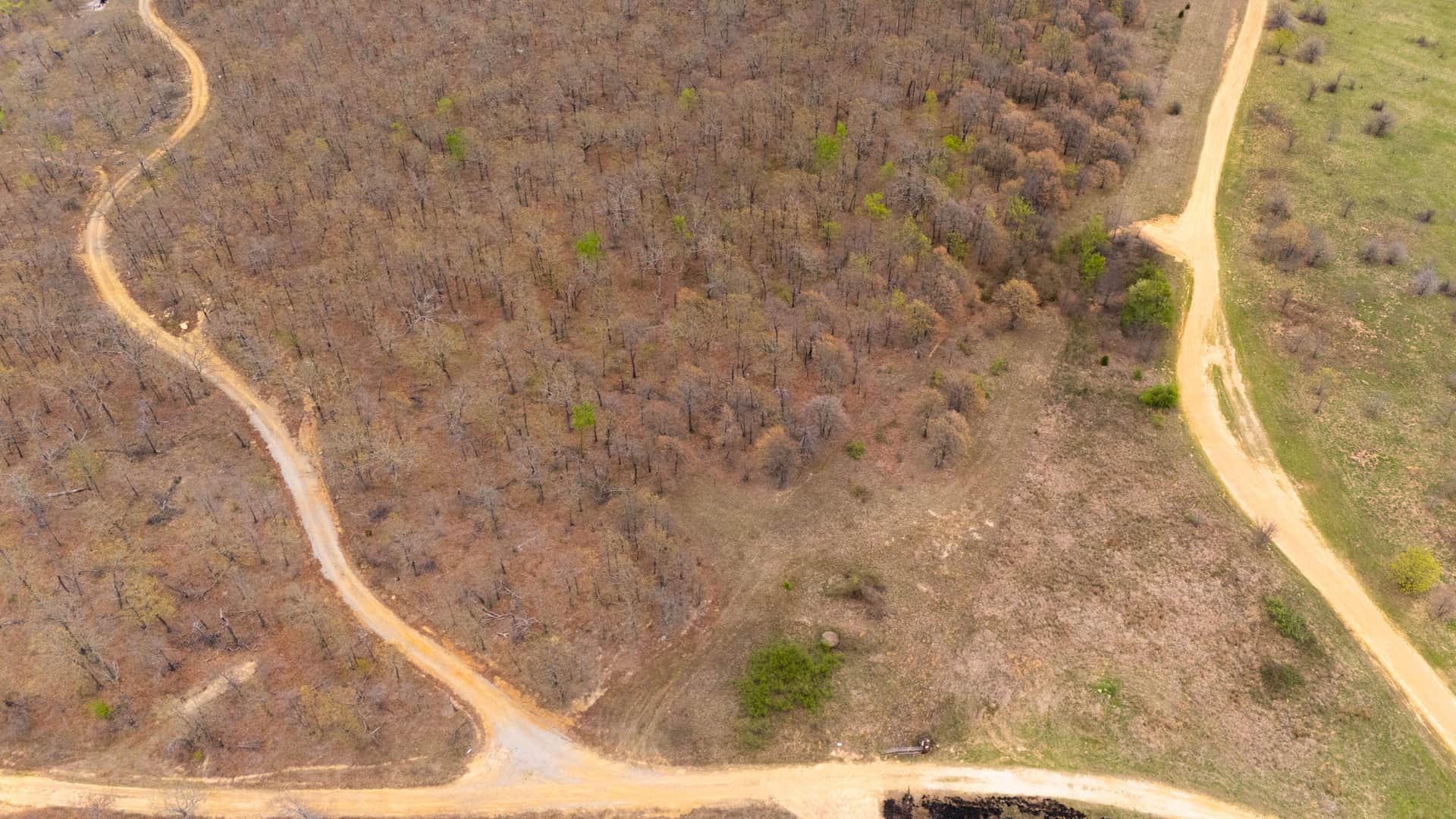 JLH Estates Tract 14 photo 1