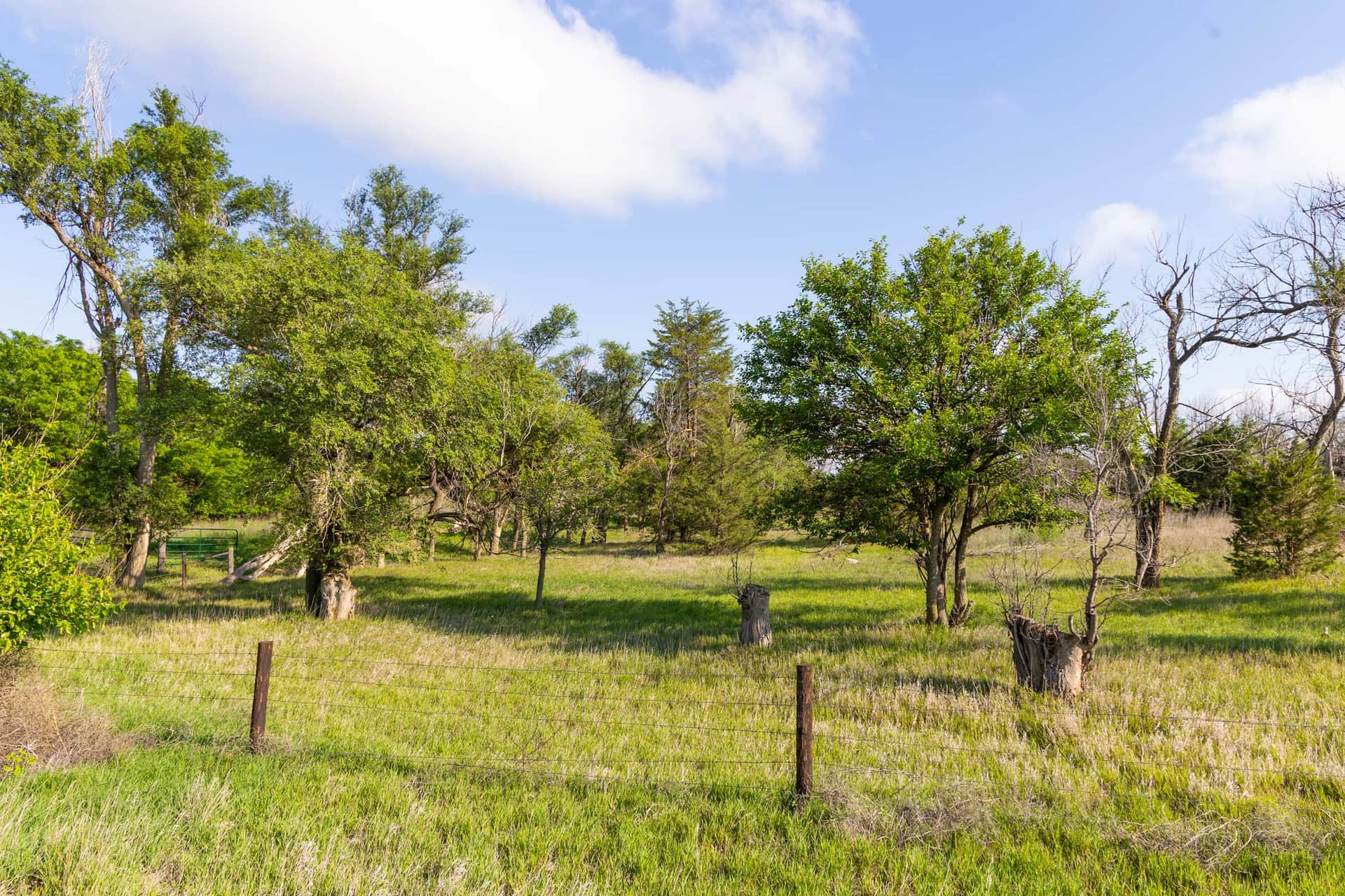 Crandall's Corner Tract 3 photo 1