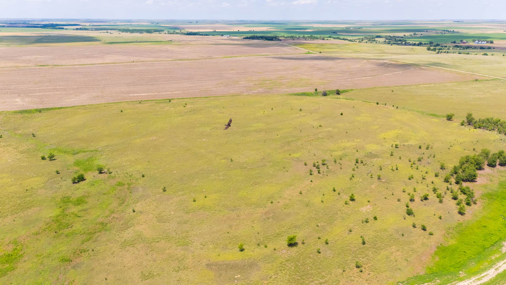 Crandall's Corner Tract 10 photo 1