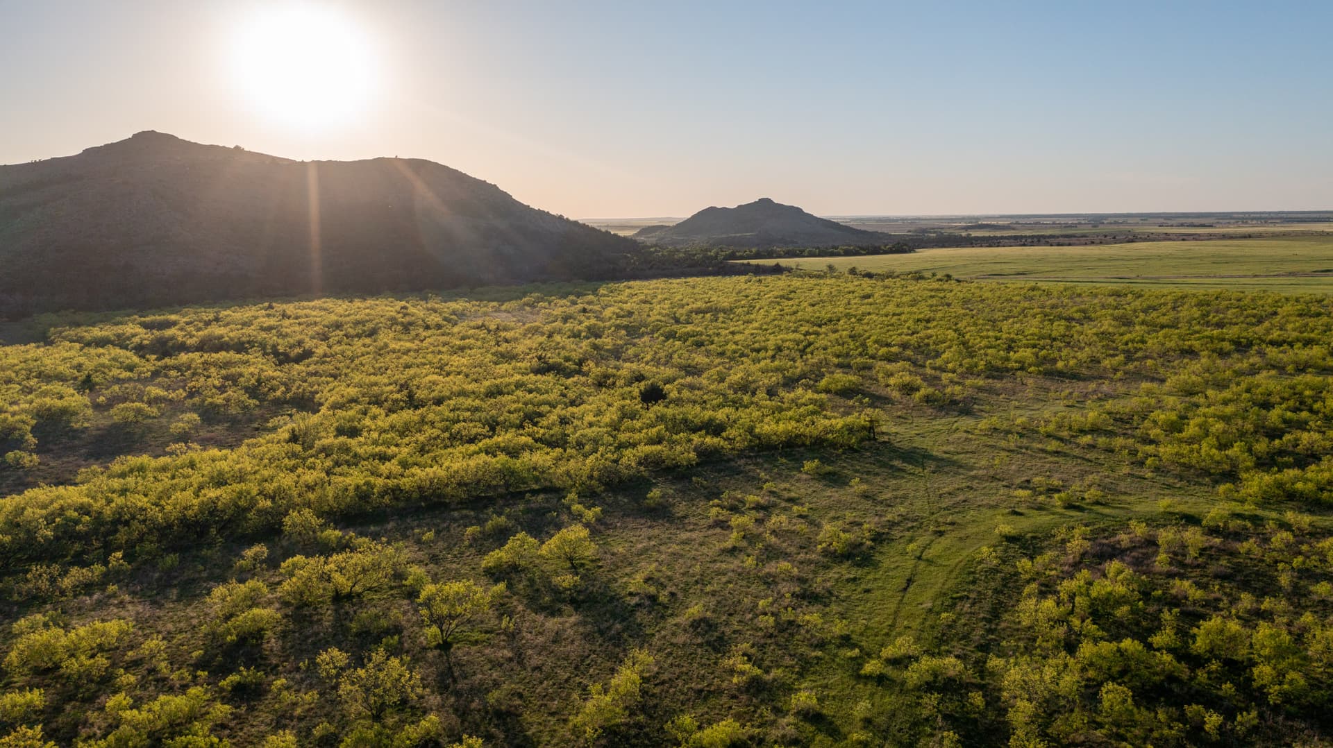 Aerial view of green rolling countryside at sunrise