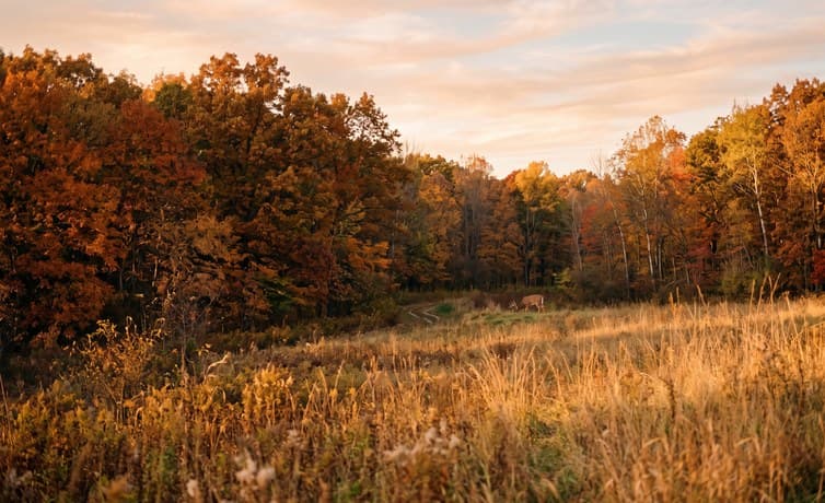 How to Choose the Perfect Hunting Land: 7 Things to Look For Before You Buy