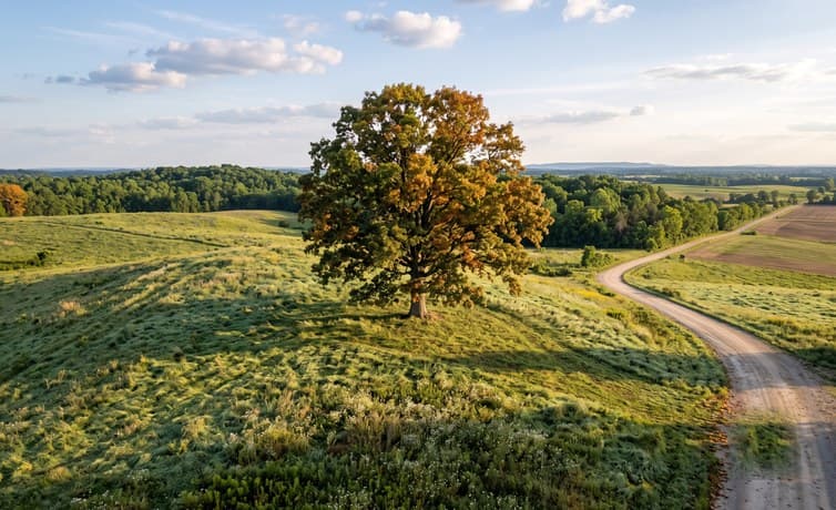 When Is the Best Time of Year to Buy Rural Land?