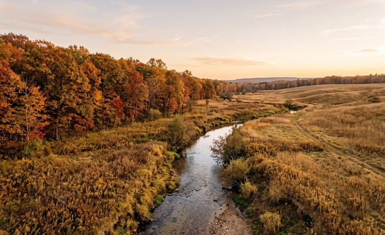 Water, Timber, and Terrain: How to Evaluate Land Features Before You Buy