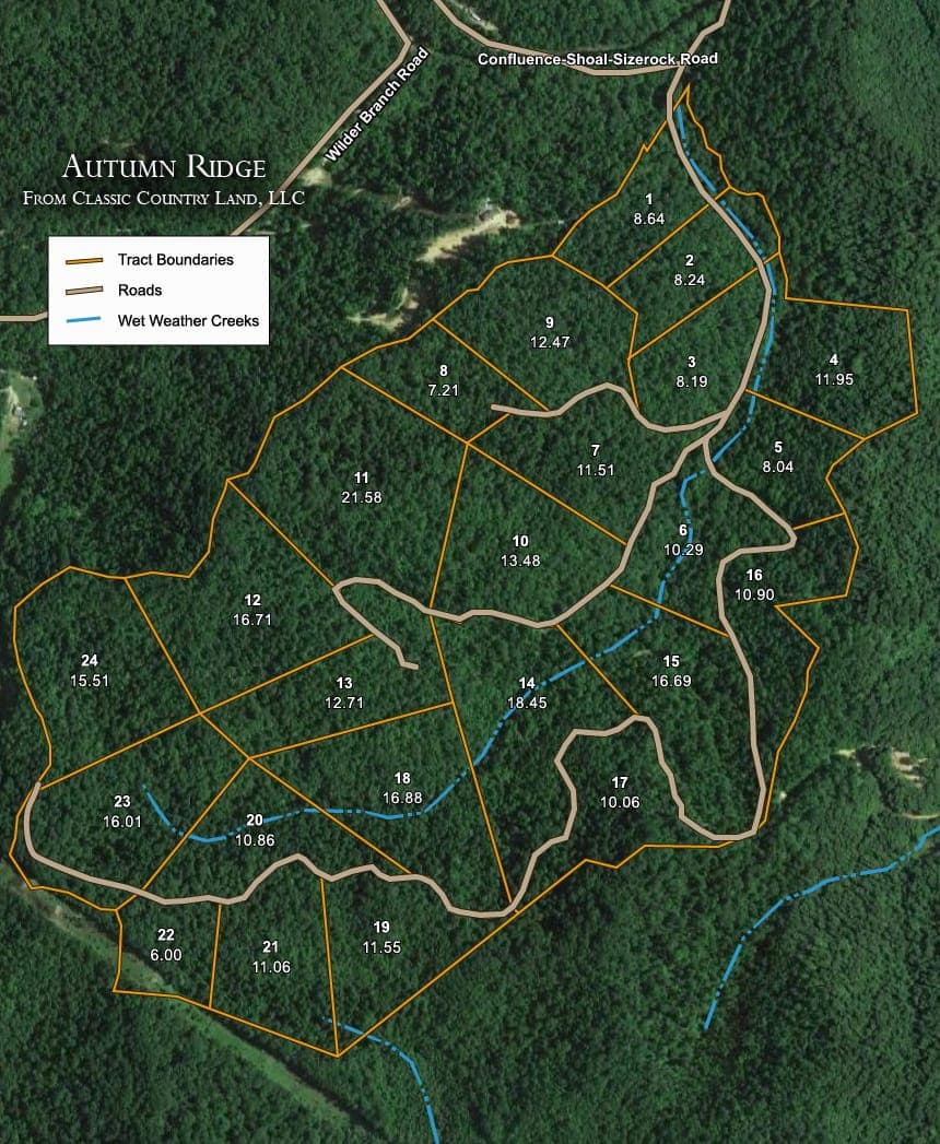 Aerial Satellite View