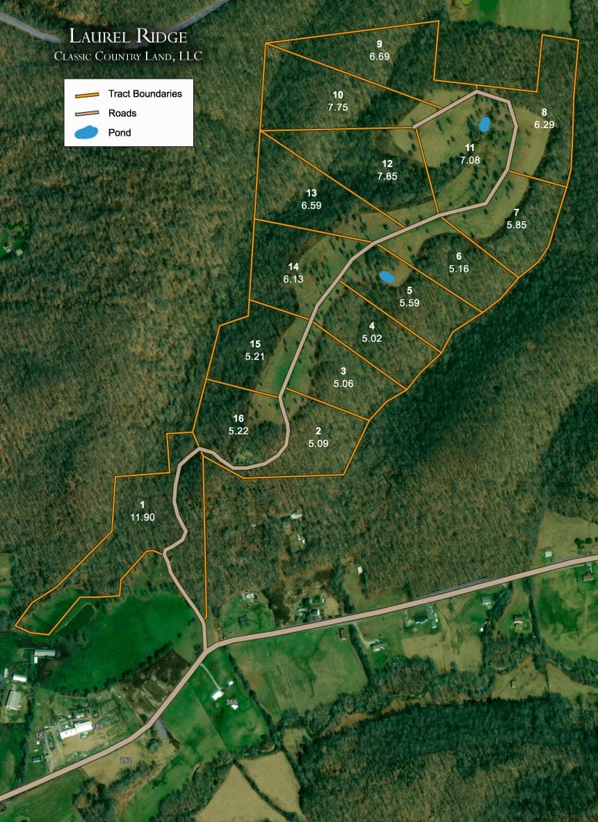 Aerial Satellite View