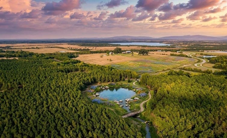 How to Buy Land with Owner Financing: A Complete Guide